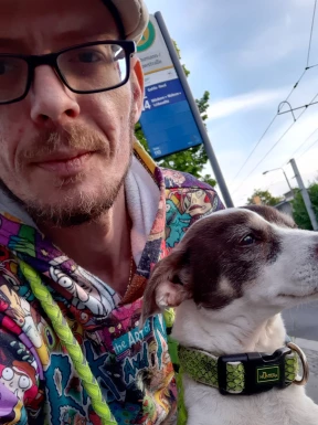 German men looking for love